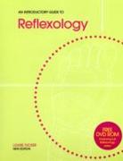 An Introductory Guide to Reflexology