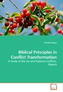 Biblical Principles in Conflict Transformation