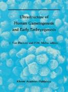 Ultrastructure of Human Gametogenesis and Early Embryogenesis