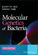 Molecular Genetics of Bacteria