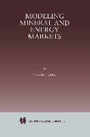 Modeling Mineral and Energy Markets