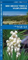 New Mexico Trees & Wildflowers: A Folding Pocket Guide to Familiar Species