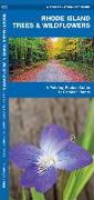 Rhode Island Trees & Wildflowers: A Folding Pocket Guide to Familiar Plants