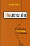 Intrapreneurship