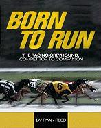 The Born to Run