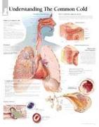 Understanding the Common Cold Laminated Poster