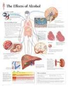 Effects of Alcohol Paper Poster