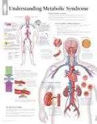 Understanding Metabolic Syndrome Laminated Poster