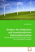 Analyse des belgischen und luxemburgischen Elektrizitätsmarktes