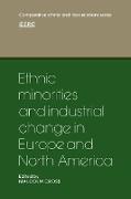 Ethnic Minorities and Industrial Change in Europe and North America