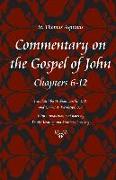 Commentary on the Gospel of John, Books 6-12