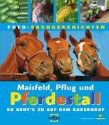 Maisfeld, Pflug und Pferdestall