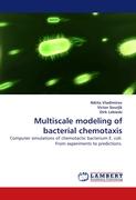 Multiscale modeling of bacterial chemotaxis