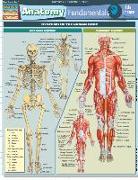 Anatomy Fundamentals: Life Science