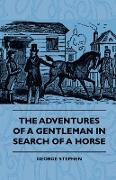 The Adventures of a Gentleman in Search of a Horse