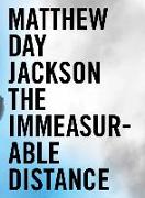 Matthew Day Jackson: The Immeasurable Distance