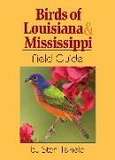 Birds of Louisiana & Mississippi Field Guide