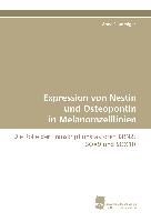 Expression von Nestin und Osteopontin in Melanomzelllinien