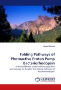 Folding Pathways of Photoactive Proton Pump Bacteriorhodopsin
