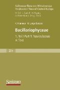 Süßwasserflora von Mitteleuropa, Bd. 02/1: Bacillariophyceae, 1. Teil: Naviculaceae, A: Text, B: Tafeln