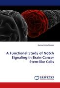 A Functional Study of Notch Signaling in Brain Cancer Stem-like Cells