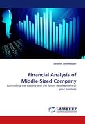 Financial Analysis of Middle-Sized Company