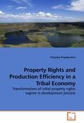 Property Rights and Production Efficiency in a Tribal Economy