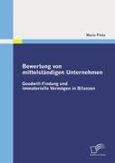 Bewertung von mittelständigen Unternehmen: Goodwill-Findung und immaterielle Vermögen in Bilanzen