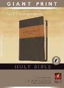 Giant Print Bible-NLT