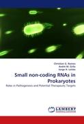 Small non-coding RNAs in Prokaryotes
