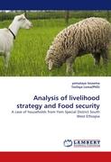 Analysis of livelihood strategy and Food security