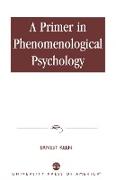 A Primer in Phenomenological Psychology