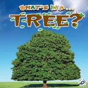 What's in A... Tree?