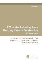 LES of the Pulsating, Non-Reacting Flow in Combustion Chambers