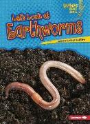 Let's Look at Earthworms