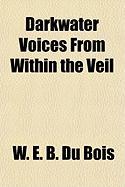 Darkwater Voices from Within the Veil