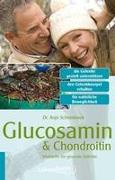 Glucosamin & Chondroitin