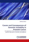 Causes and Consequences of Genomic Instability in Prostate Cancer
