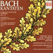 KANTATEN BWV 173A/173/26