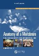 Anatomy of a Meltdown: A Financial Biography of the Subprime Mortgage Meltdown, Elective Series