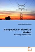 Competition in Electricity Markets