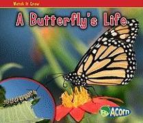 A Butterfly's Life