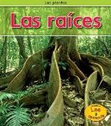 Las Raíces