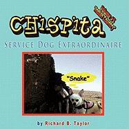 Chispita Service Dog Extraordinaire