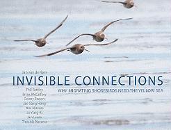 Invisible Connections: Why Migrating Shorebirds Need the Yellow Sea