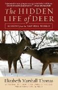 The Hidden Life of Deer