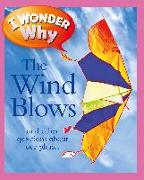 I Wonder Why the Wind Blows: And Other Questions about Our Planet