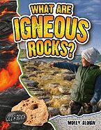 What Are Igneous Rocks?