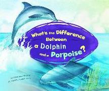 What's the Difference Between a Dolphin and a Porpoise?