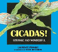 Cicadas!